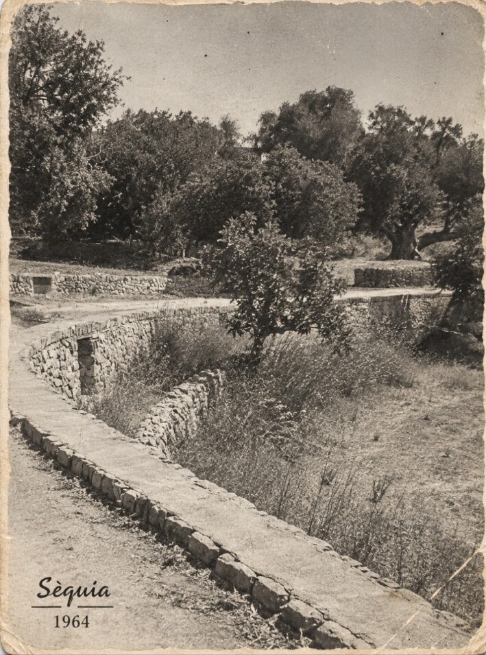 Séquia de Son Pons en 1964